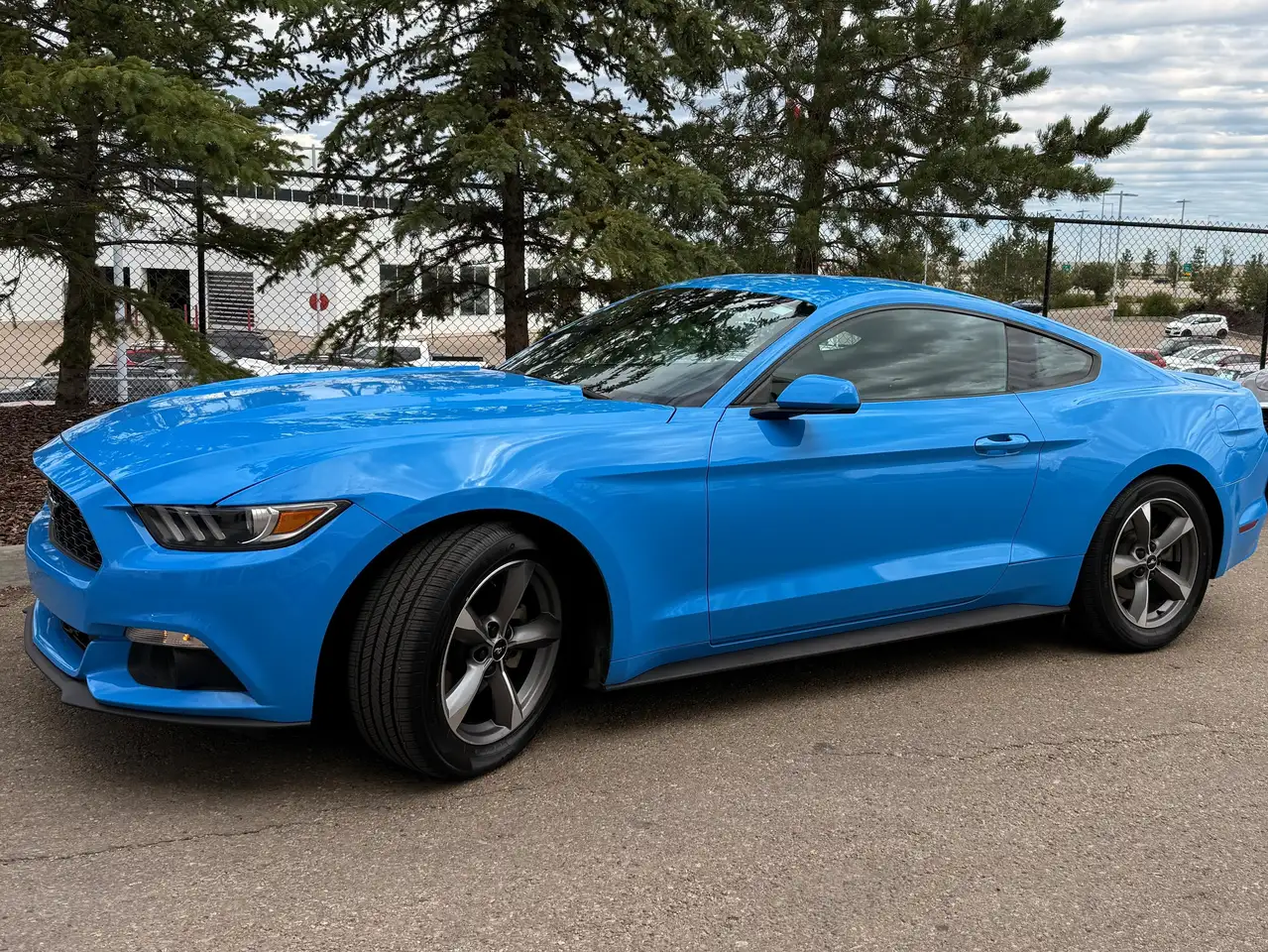 Ford Mustang снимка Ford Mustang