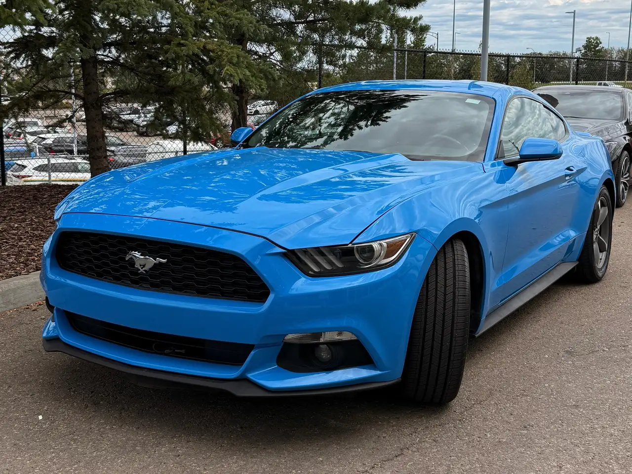 Ford Mustang снимка Ford Mustang
