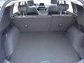 Ford Kuga 2.5 Plug In Hybrid 225 CV CVT 2WD Titanium Grigio - thumbnail 15