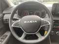Dacia Sandero III Stepway Expression TCe 100 LPG*SHZ*KAMERA* Blau - thumbnail 9