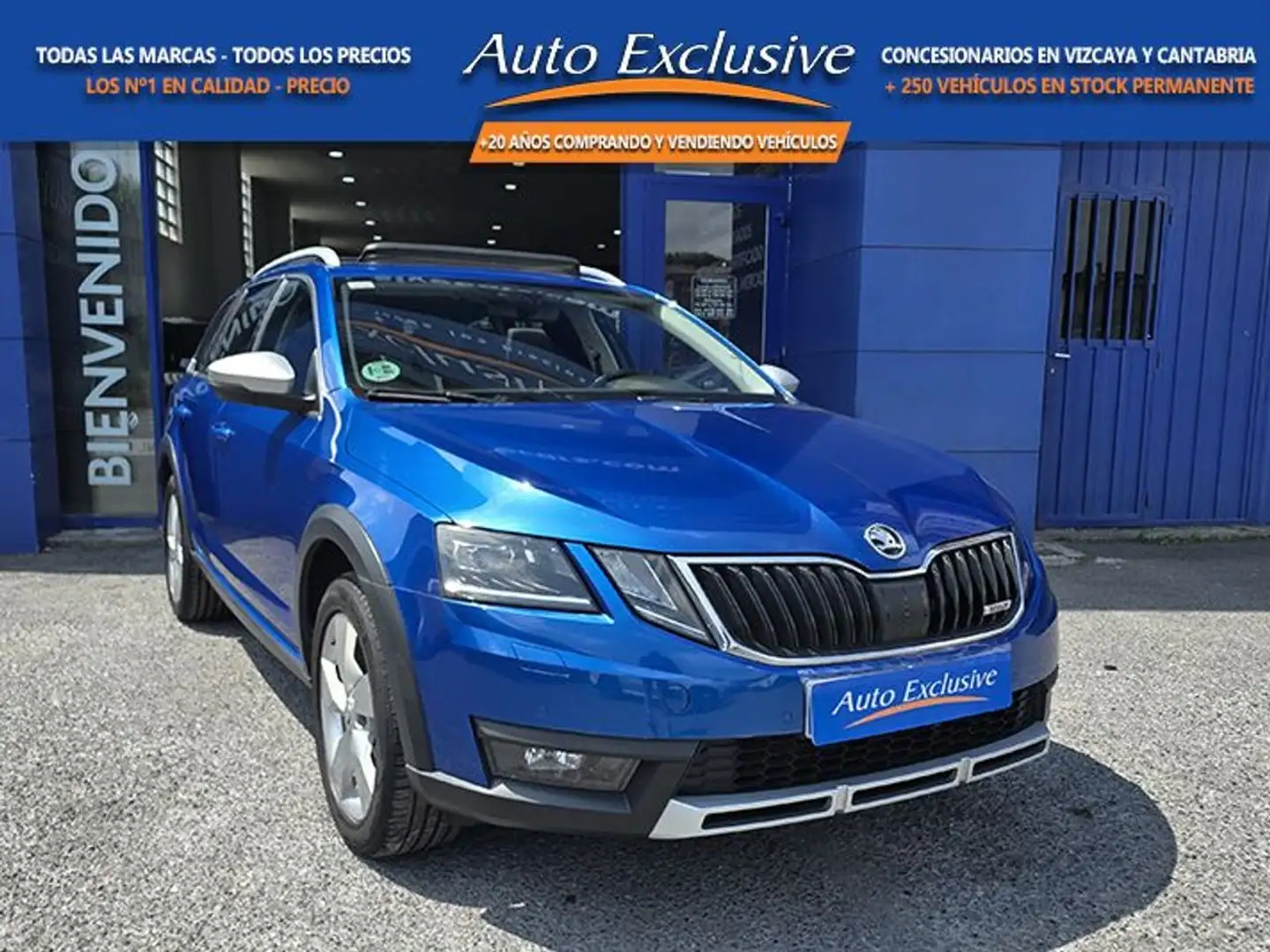 Skoda 2.0 TDI CR 110kW 150CV 4x4 Azul - 1