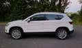 SEAT Ateca 2,0 Xcellence 4Drive TDI Standheizung - thumbnail 8