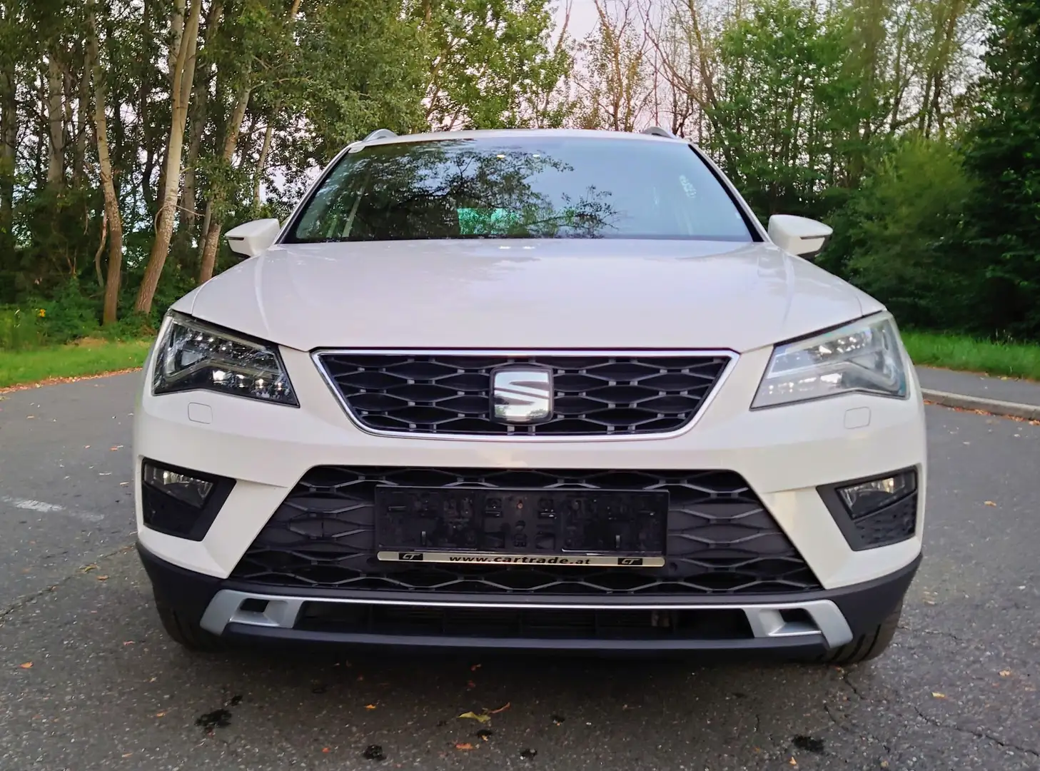 SEAT Ateca 2,0 Xcellence 4Drive TDI Standheizung - 2