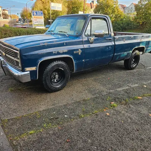 Chevrolet Chevy C10 Pickup Toller Patina Truck .