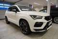 CUPRA Ateca 2.0 TSI VZ 4Drive Virtual/Sport/Navi/LED Weiß - thumbnail 3