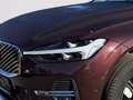 Volvo XC60 Plus, B5 AWD Mild Hybrid, Benzin, Bright Rot - thumbnail 7