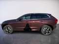 Volvo XC60 Plus, B5 AWD Mild Hybrid, Benzin, Bright Rot - thumbnail 6