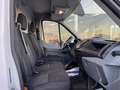 Ford Transit 310 2.0TDCi EcoBlue 130CV PM-TM *IVA ESCLUSA* Blanco - thumbnail 12