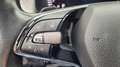 Skoda Kodiaq 2,0 TDI SCR 4x4 Style SC DSG Grau - thumbnail 12