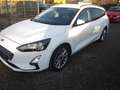 Ford Focus Focus EcoBoost - Automatik-NAVI-kamera Weiß - thumbnail 2