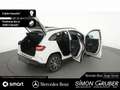 Mercedes-Benz EQA 250 + AMG Line Pano Ambi AHK Mod 2025 70,5kWh Weiß - thumbnail 17