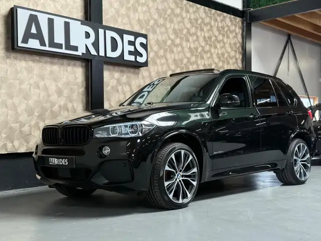 BMW X5 view 8