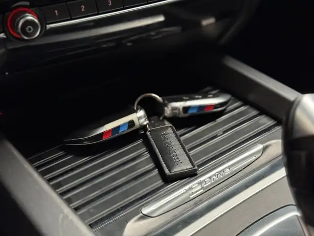 BMW X5 view 23