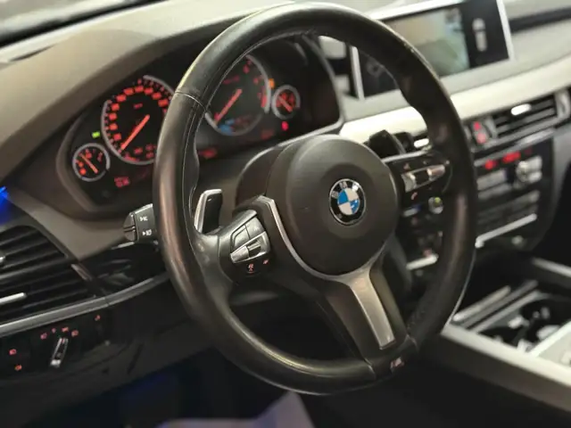 BMW X5 view 19