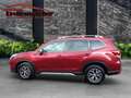 Subaru Forester 2.0ie Active Lineartronic Rosso - thumbnail 4