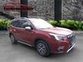 Subaru Forester 2.0ie Active Lineartronic Rouge - thumbnail 3