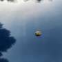 Volkswagen Käfer Typ 11 / 1300 Blau - thumbnail 8