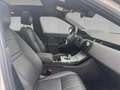 Land Rover Range Rover Evoque P270e S Warranty until 01/2030 Weiß - thumbnail 3