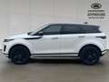 Land Rover Range Rover Evoque P270e S Warranty until 01/2030 Weiß - thumbnail 7