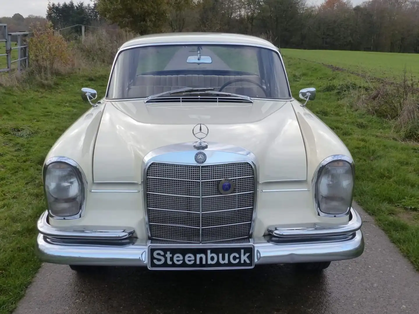 Mercedes-Benz 220 S b (W 111) - Baujahr 1965 Beige - 2