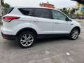 Ford Kuga 2.0 TDCI 150 CV S&S 4WD Powershift Titanium Blanc - thumbnail 6