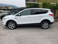 Ford Kuga 2.0 TDCI 150 CV S&S 4WD Powershift Titanium Blanc - thumbnail 7