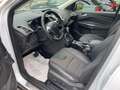 Ford Kuga 2.0 TDCI 150 CV S&S 4WD Powershift Titanium Blanc - thumbnail 15