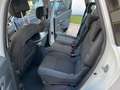 Renault Scenic Scenic III X-Mod  1.4 tce Dynamique 130cv Bianco - thumbnail 13