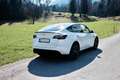 Tesla Model Y Model Y AWD 79kWh Performance Performance Weiß - thumbnail 4