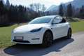 Tesla Model Y Model Y AWD 79kWh Performance Performance Weiß - thumbnail 1