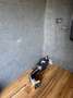 Fiat Ducato - thumbnail 6