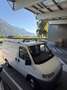 Fiat Ducato - thumbnail 1