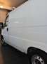 Fiat Ducato - thumbnail 9