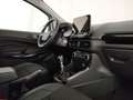 Ford EcoSport 1.0 ecoboost Titanium s&s 125cv my20.25 Argento - thumbnail 7