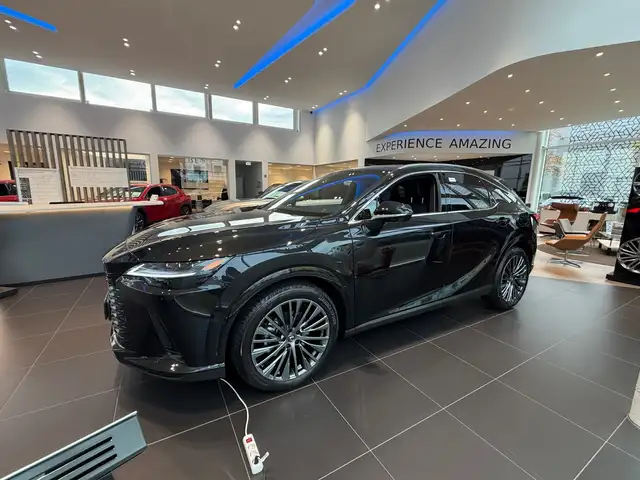Lexus RX view 5