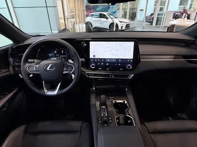 Lexus RX view 11