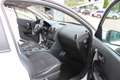 Nissan Qashqai 1.6 dCi 4WD TEKNA Bianco - thumbnail 13