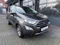 Ford EcoSport Titanium Automatik Leder Navi. Gris - thumbnail 3