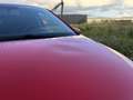 Volkswagen Polo 1.2-12V Bl.M. Comfl. Rood - thumbnail 10