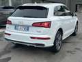 Audi Q5 40 TDI quattro S tronic Business Blanco - thumbnail 4
