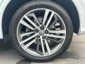 Audi Q5 40 TDI quattro S tronic Business Blanco - thumbnail 7