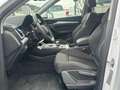 Audi Q5 40 TDI quattro S tronic Business Blanco - thumbnail 11