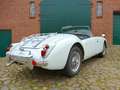 MG MGA 1600 Tourer 46 Jahre in einem Besitz! Weiß - thumbnail 8