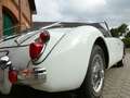 MG MGA 1600 Tourer 46 Jahre in einem Besitz! Weiß - thumbnail 15
