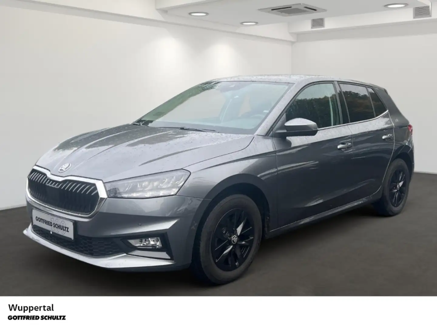 Skoda Fabia 1.0 TSI Style DSG NAVI ACC LED SHZ PDC LM Grau - 1