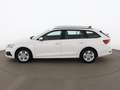 Skoda Octavia Combi 2.0 TDI Ambition Aut LED RADAR NAVI Weiß - thumbnail 6