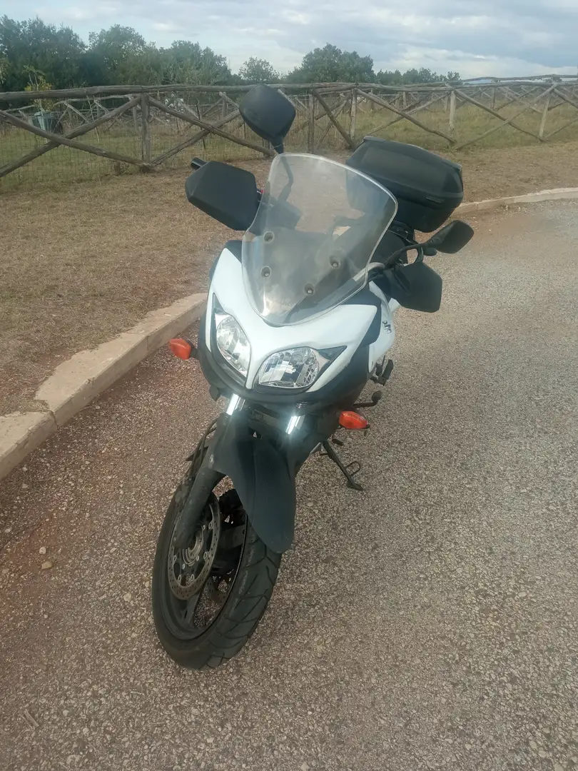 Suzuki V-Strom 650 Bianco - 2