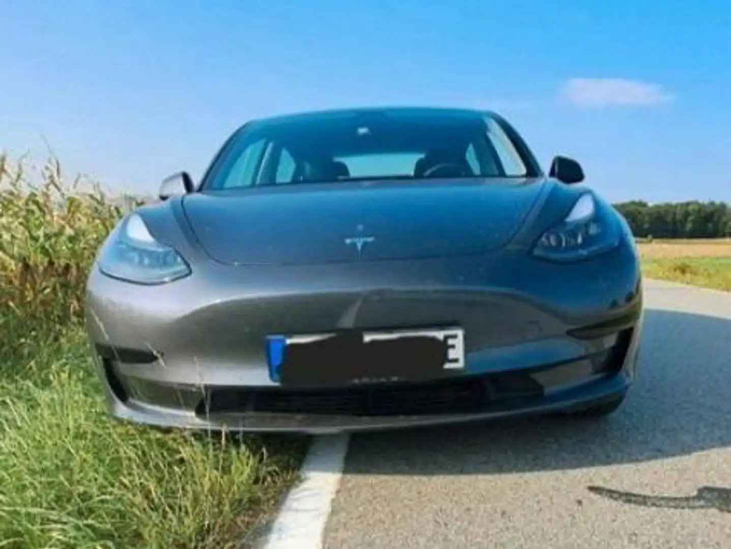Tesla Model 3 Model 3 RWD Hinterradantrieb Grau - 1