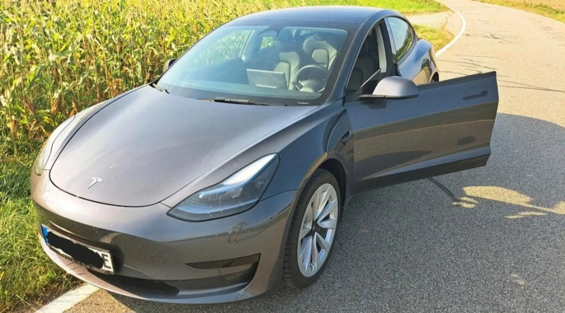 Tesla Model 3 Model 3 RWD Hinterradantrieb Grau - 2