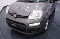 Fiat New Panda 1.0 FireFly City Life S&S Hybrid Grigio - thumbnail 22